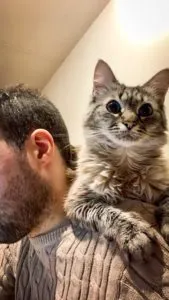 Emigrar Con Tu Mascota 3